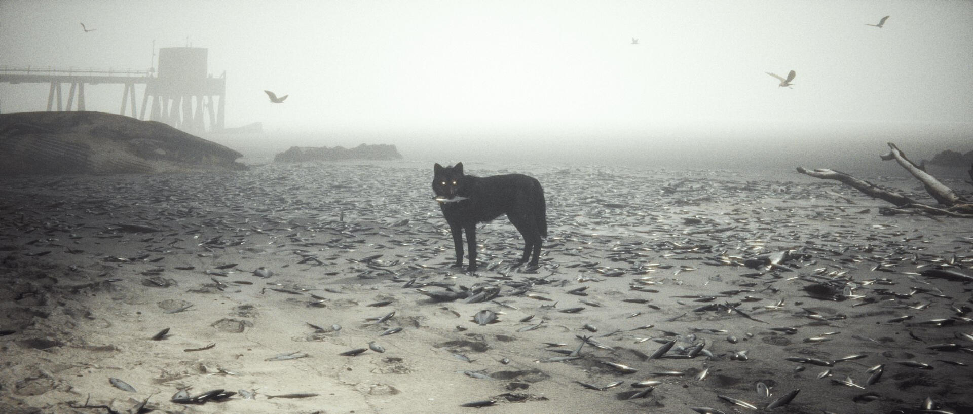 carrion